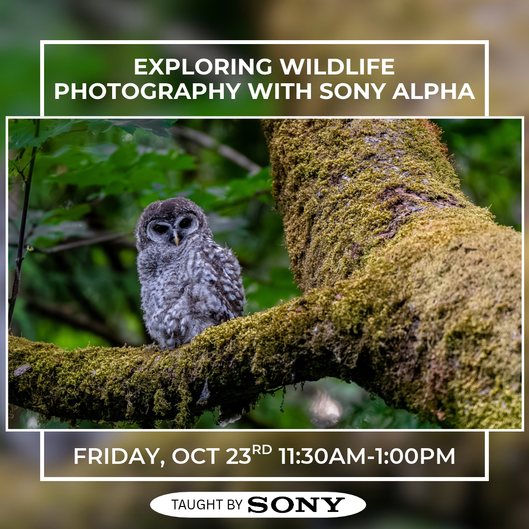 thumbnail image for the event